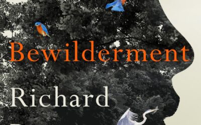 Bewilderment – Richard Powers