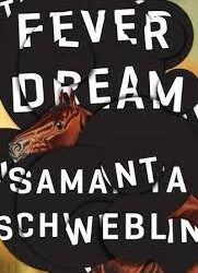 Fever Dream – Samanta Schweblin
