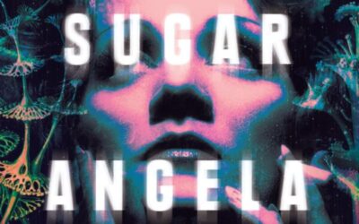Moon Sugar – Angela Meyer