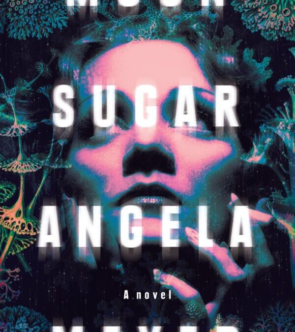 Moon Sugar - Angela Meyer