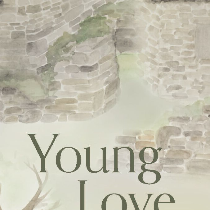Young Love and Other Stories - Felix Calvino