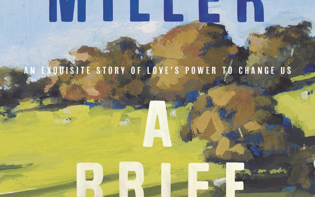 A Brief Affair - Alex Miller