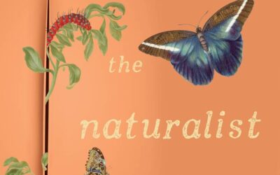 The Naturalist of Amsterdam – Melissa Ashley
