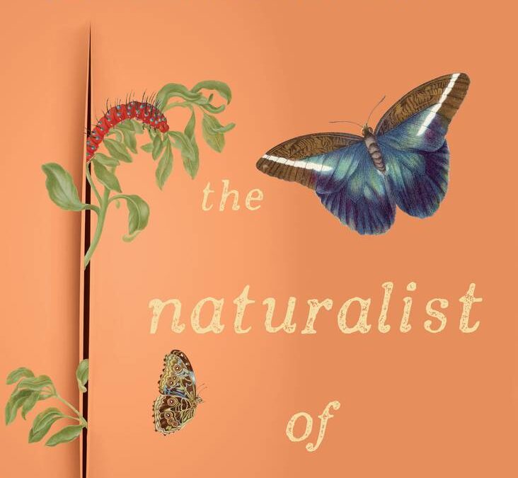 The Naturalist of Amsterdam - Melissa Ashley